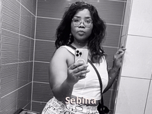 Sebina