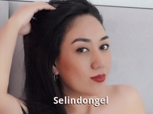 Selindongel