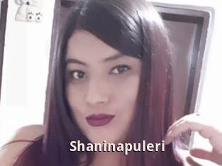 Shaninapuleri