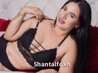 Shantalfoxh