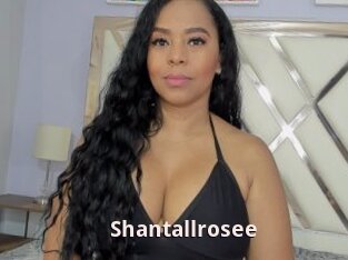 Shantallrosee