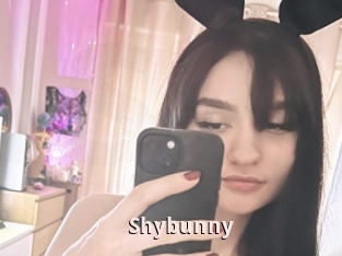 Shybunny