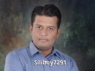 Siliboy7291