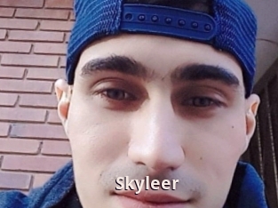 Skyleer