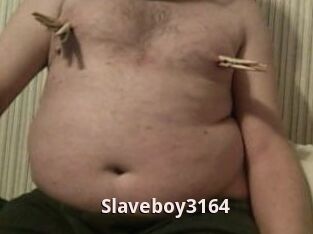 Slaveboy3164