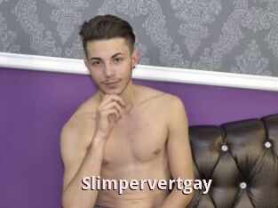 Slimpervertgay