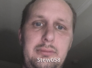Stew058