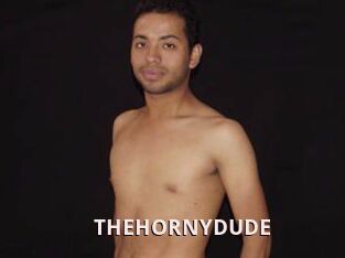 THEHORNYDUDE