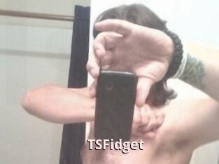 TSFidget