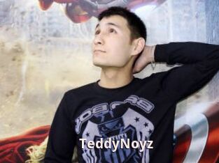 TeddyNoyz