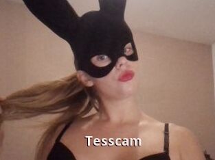 Tesscam