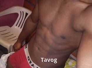 Tavog