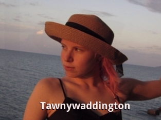 Tawnywaddington
