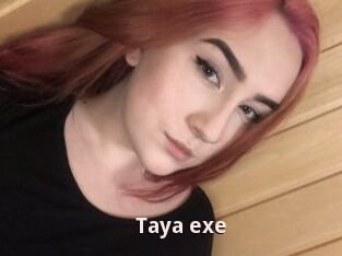 Taya_exe