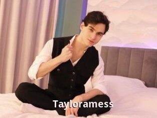 Tayloramess