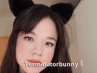 Terminatorbunny
