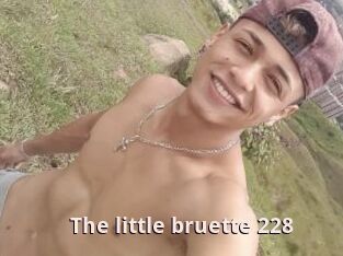 The_little_bruette_228