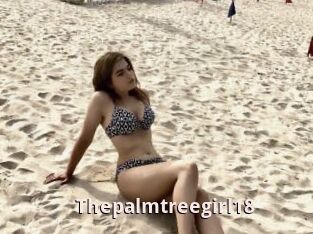 Thepalmtreegirl18