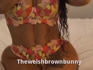 Thewelshbrownbunny