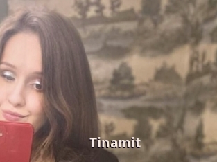 Tinamit