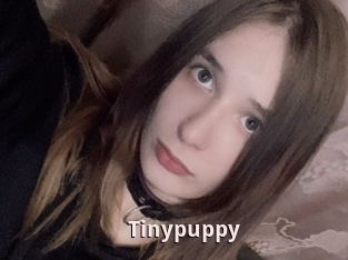 Tinypuppy