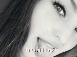 Tinyrabbitcol