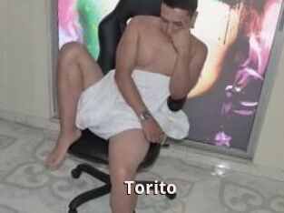 Torito