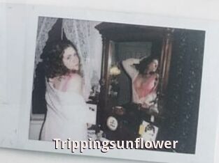 Trippingsunflower