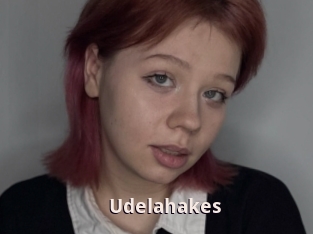 Udelahakes