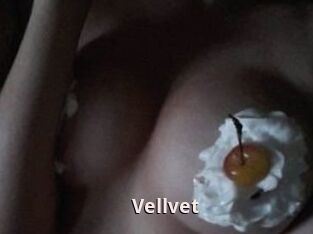 Vellvet