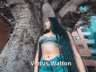 Venus_Walton