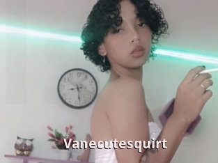 Vanecutesquirt