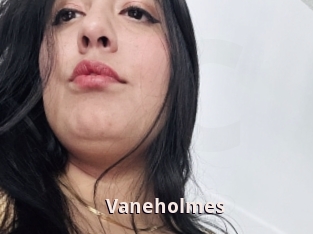 Vaneholmes