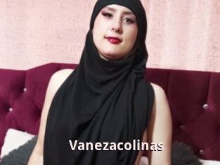 Vanezacolinas
