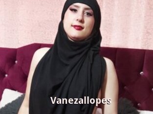 Vanezallopes