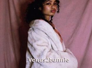 Venus2bunnie