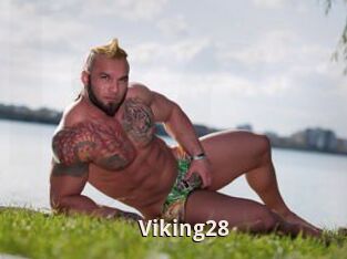 Viking28