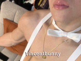 Vincentbunny