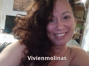 Vivienmolinas