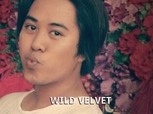 WILD_VELVET