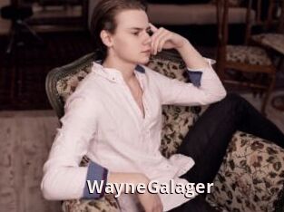 WayneGalager