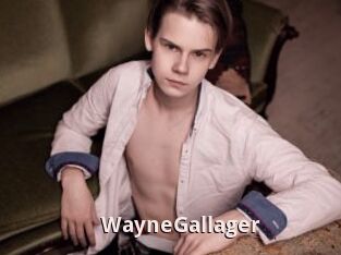 WayneGallager