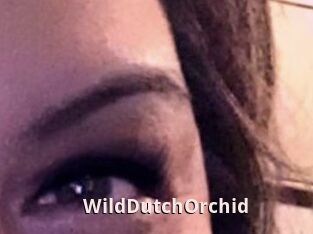 WildDutchOrchid