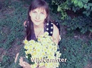 Wildcumster