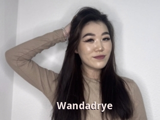 Wandadrye
