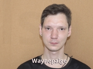 Waynepaige