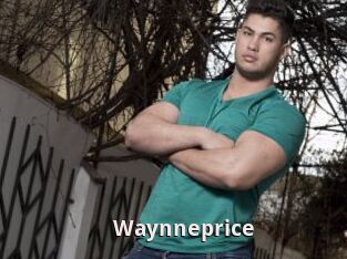 Waynneprice