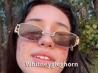 Whitneygleghorn