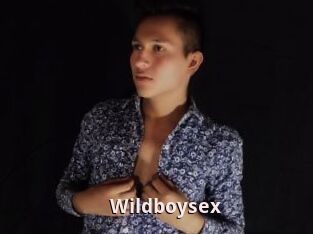 Wildboysex