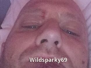 Wildsparky69